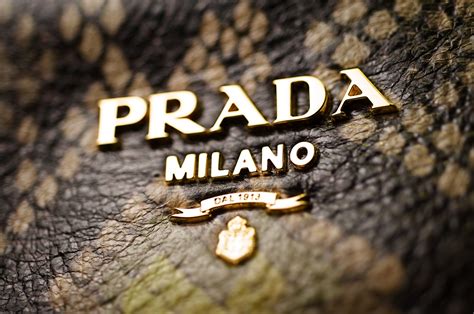 prada overview|who owns prada brand.